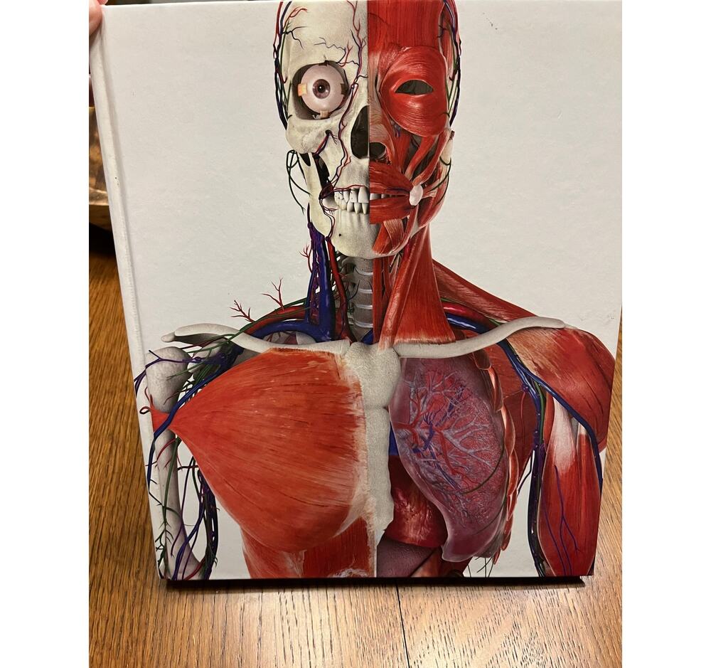 The Human Body Book by Steve Parker Hardcover with DVD Educational DK Publishing